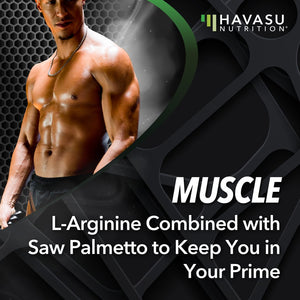 L-Arginine + Saw Palmetto Capsules, 60ct - Havasu Nutrition