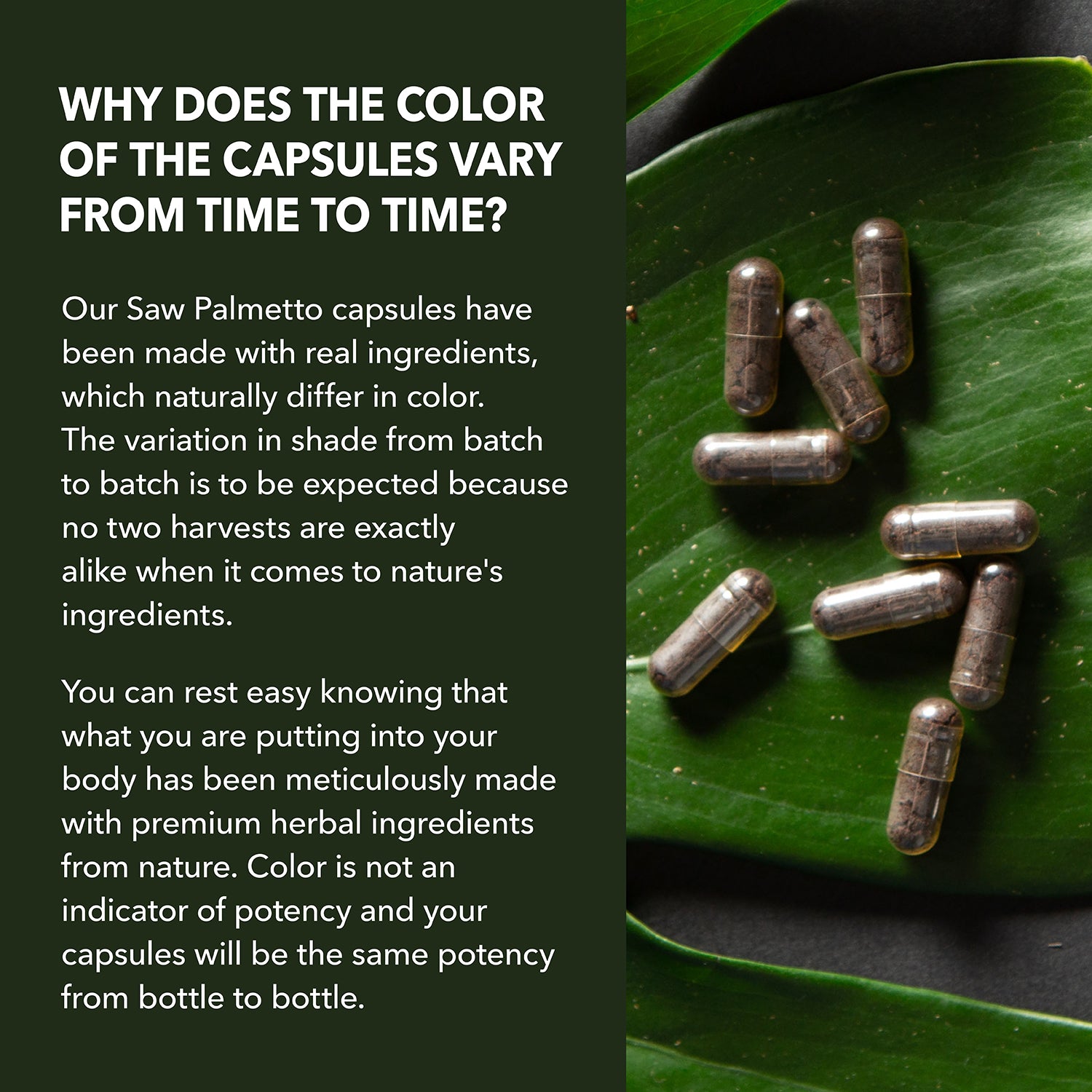 Saw Palmetto Capsules