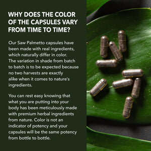 Saw Palmetto Capsules