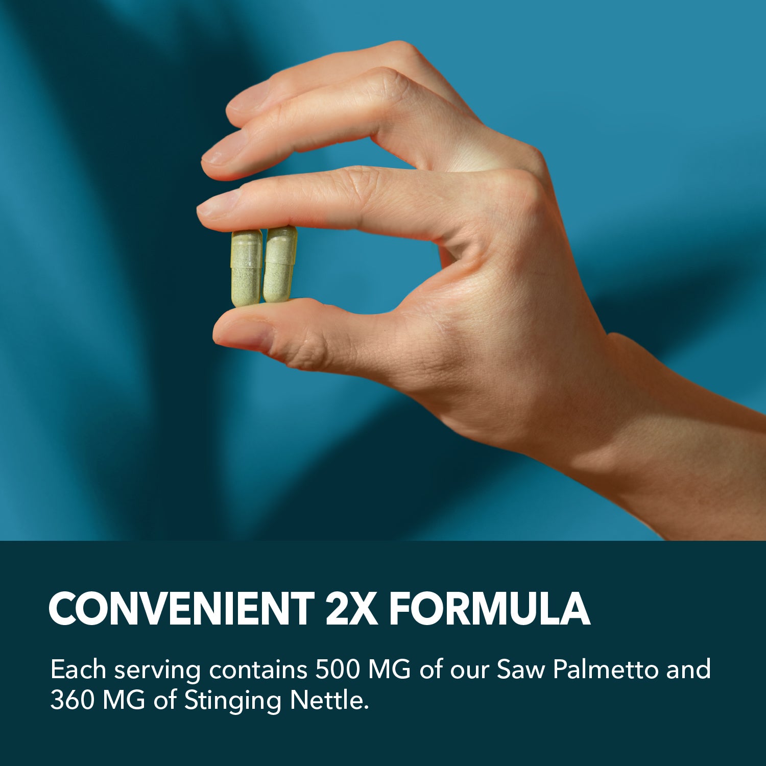 Saw Palmetto + Nettle Capsules, 120ct