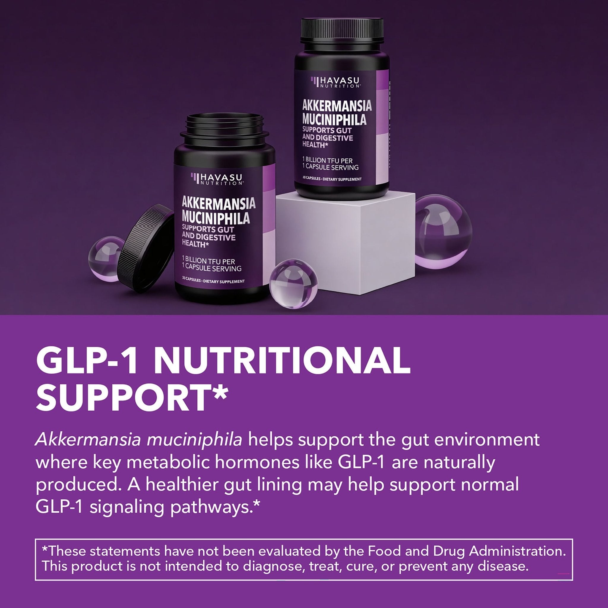 Akkermansia Muciniphila Capsules, 30ct - Havasu Nutrition