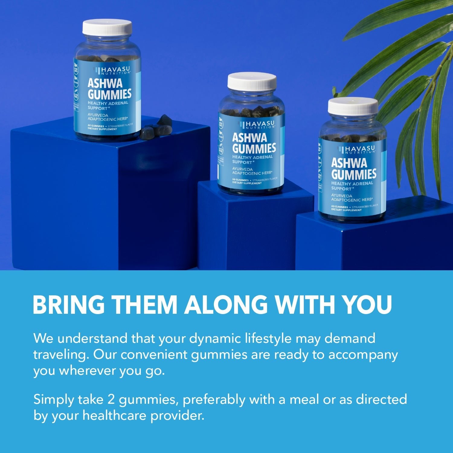Ashwagandha Gummies, 60ct - Havasu Nutrition