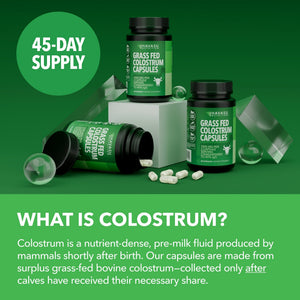 Colostrum Capsules, 40% IgG, 90 Count - Havasu Nutrition