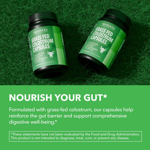 Colostrum Capsules,40% IgG, 60 count - Havasu Nutrition