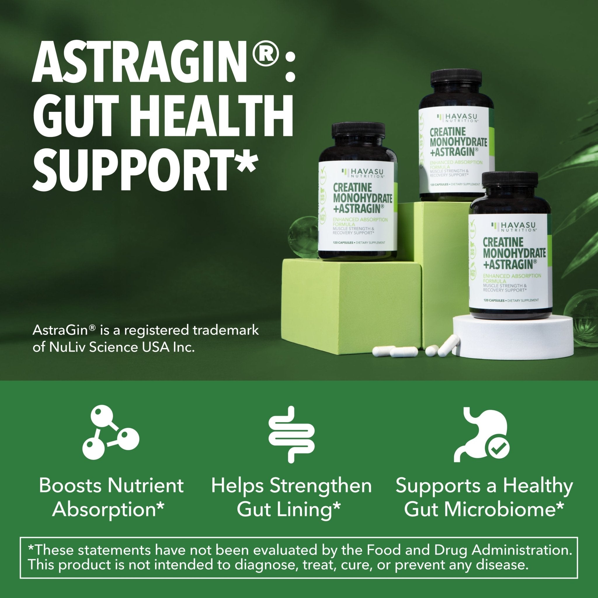 Creatine + AstraGin Capsules, 120ct - Havasu Nutrition