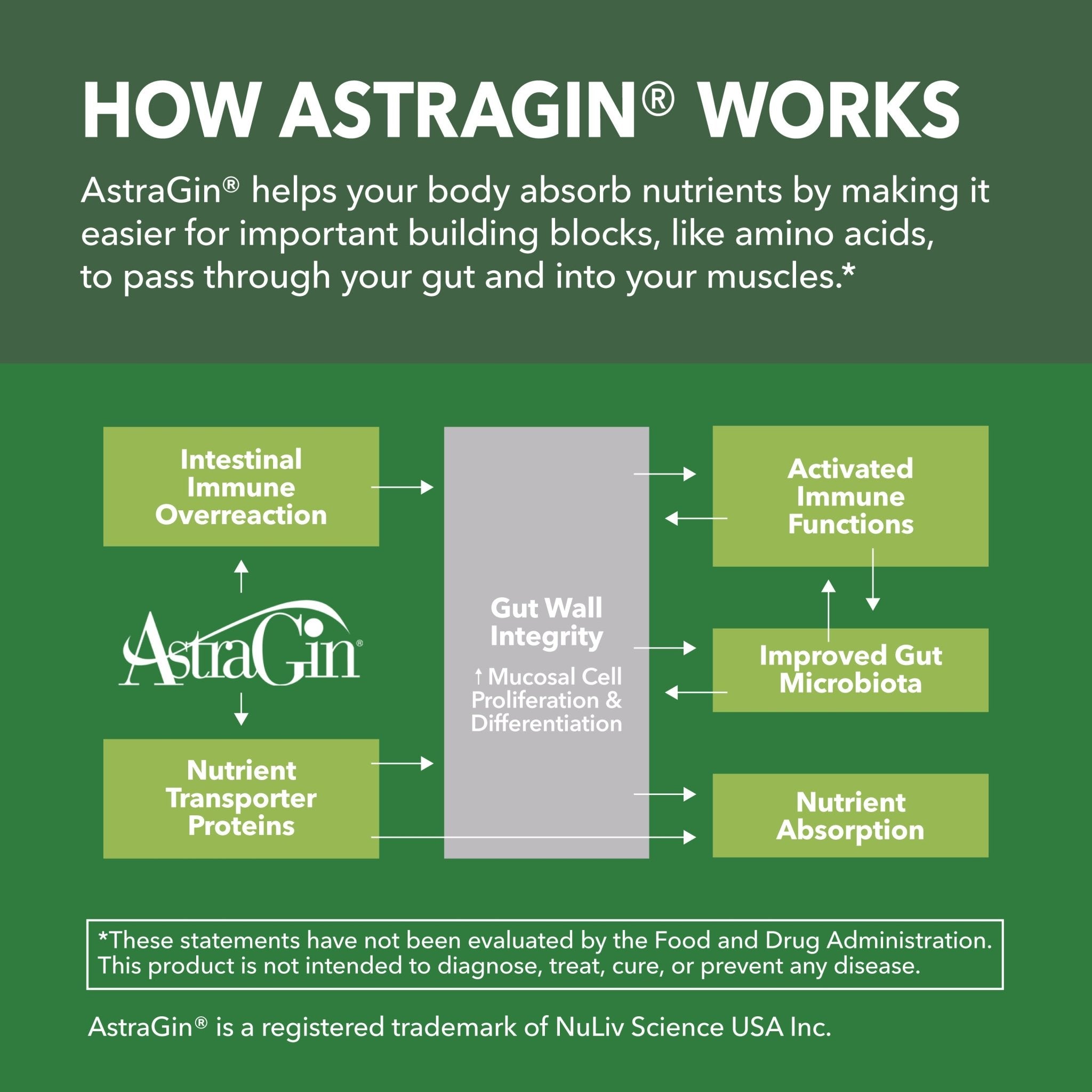 Creatine + AstraGin Capsules, 120ct - Havasu Nutrition