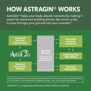 Creatine + AstraGin Capsules, 120ct - Havasu Nutrition