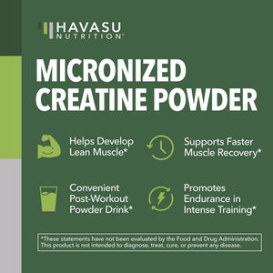 Creatine Powder - Havasu Nutrition