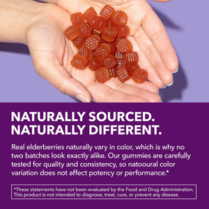 Elderberry Gummies for Adults, Berry - Havasu Nutrition