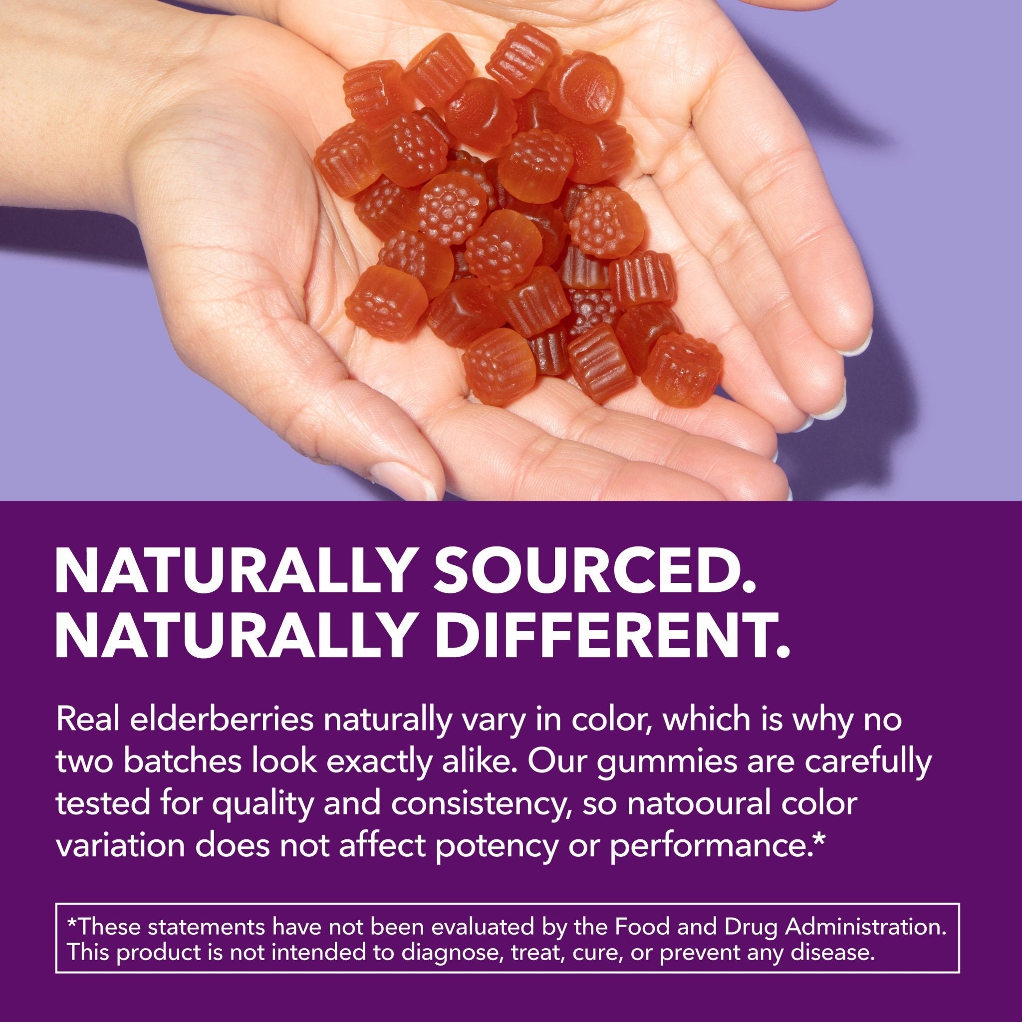 Elderberry Gummies for Adults, Elderberry Flavor - Havasu Nutrition