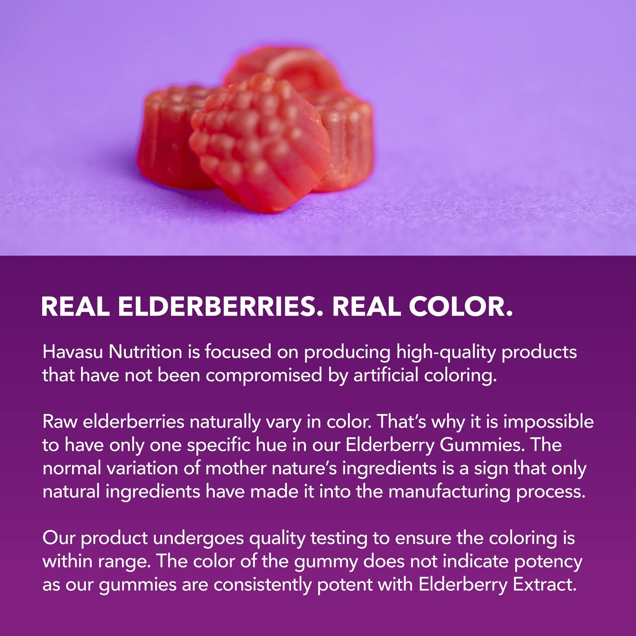 Elderberry Gummies for Adults, Elderberry Flavor - Havasu Nutrition