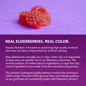 Elderberry Gummies for Adults, Elderberry Flavor - Havasu Nutrition