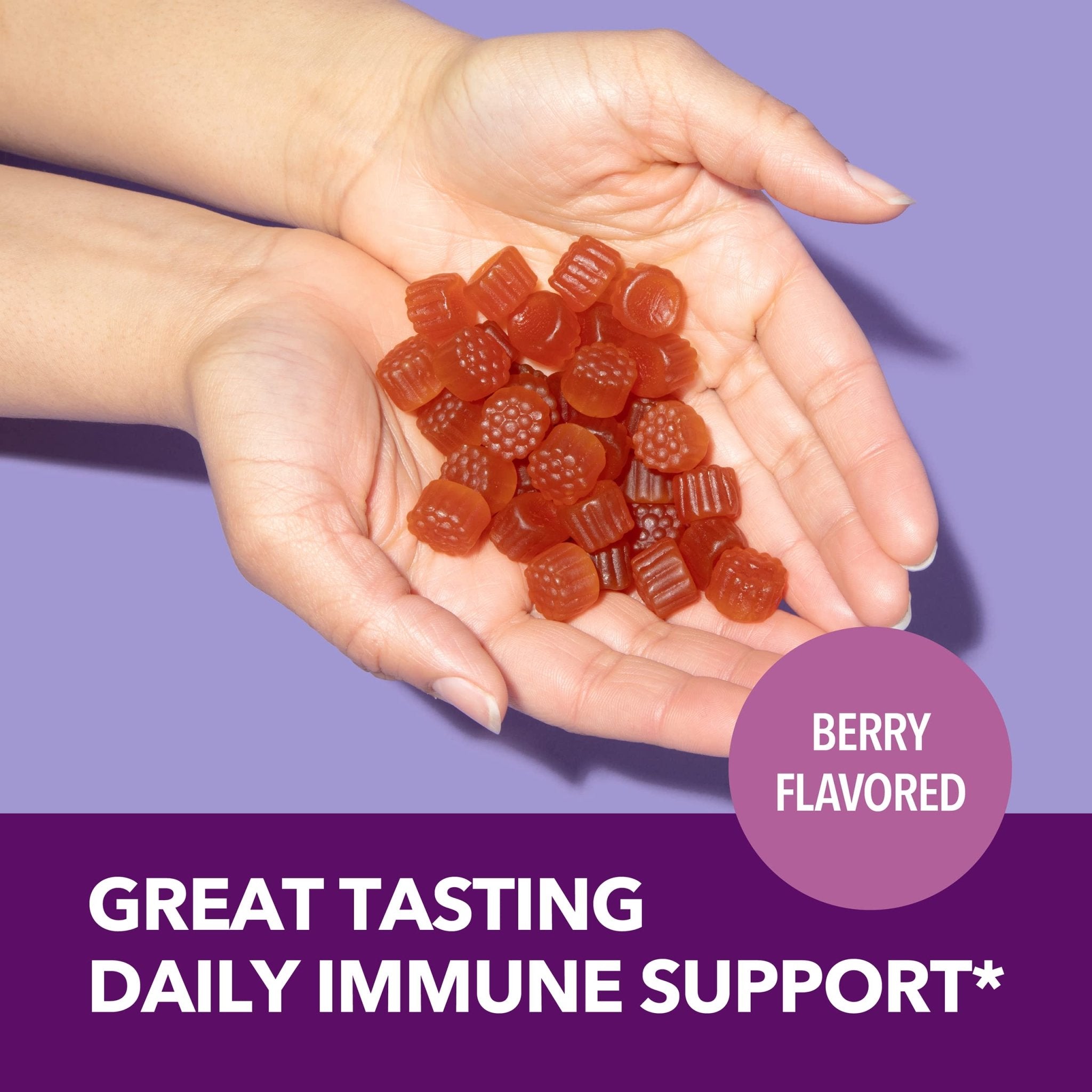 Elderberry Gummies for Adults, Elderberry Flavor - Havasu Nutrition