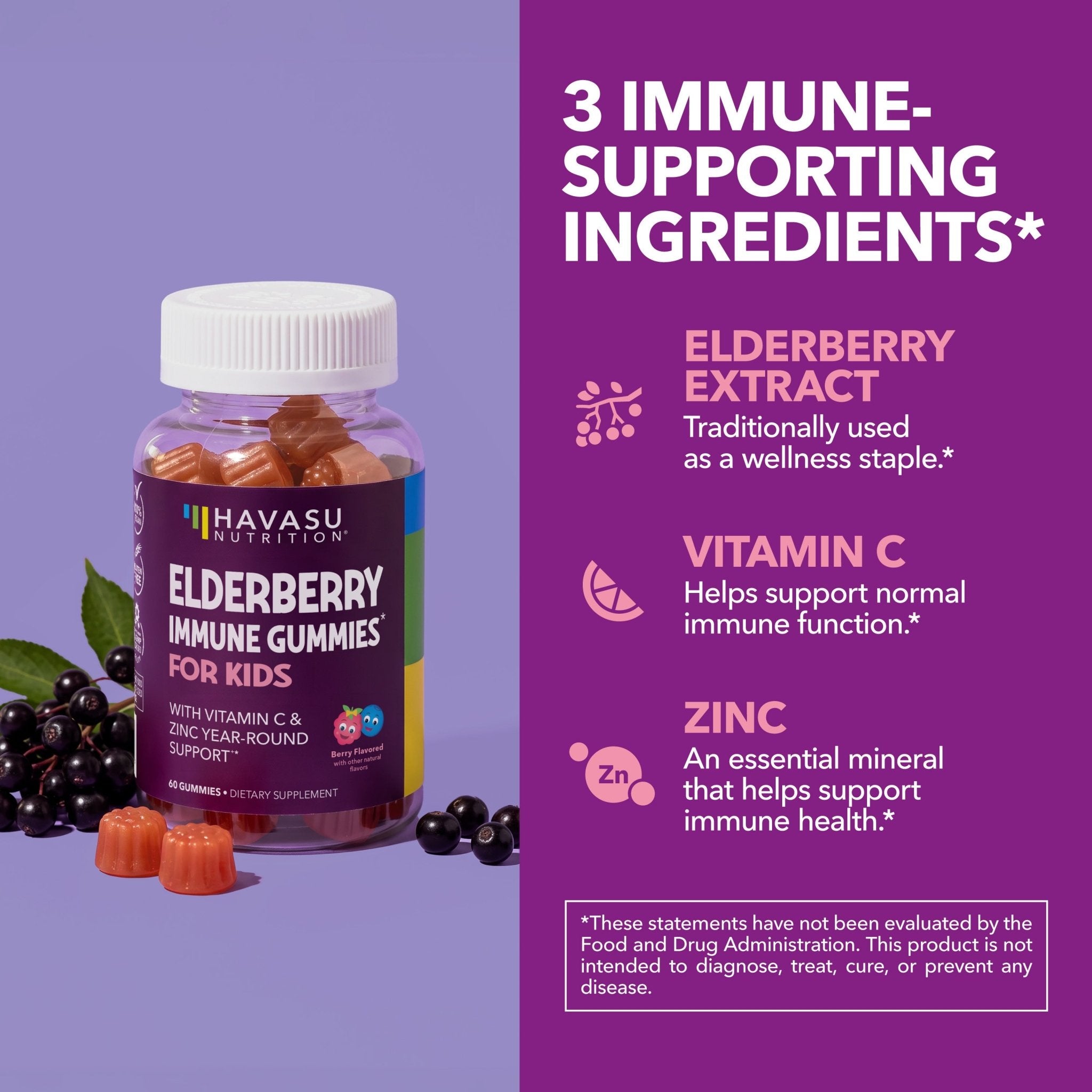 Elderberry Gummies for Kids, Berry - Havasu Nutrition