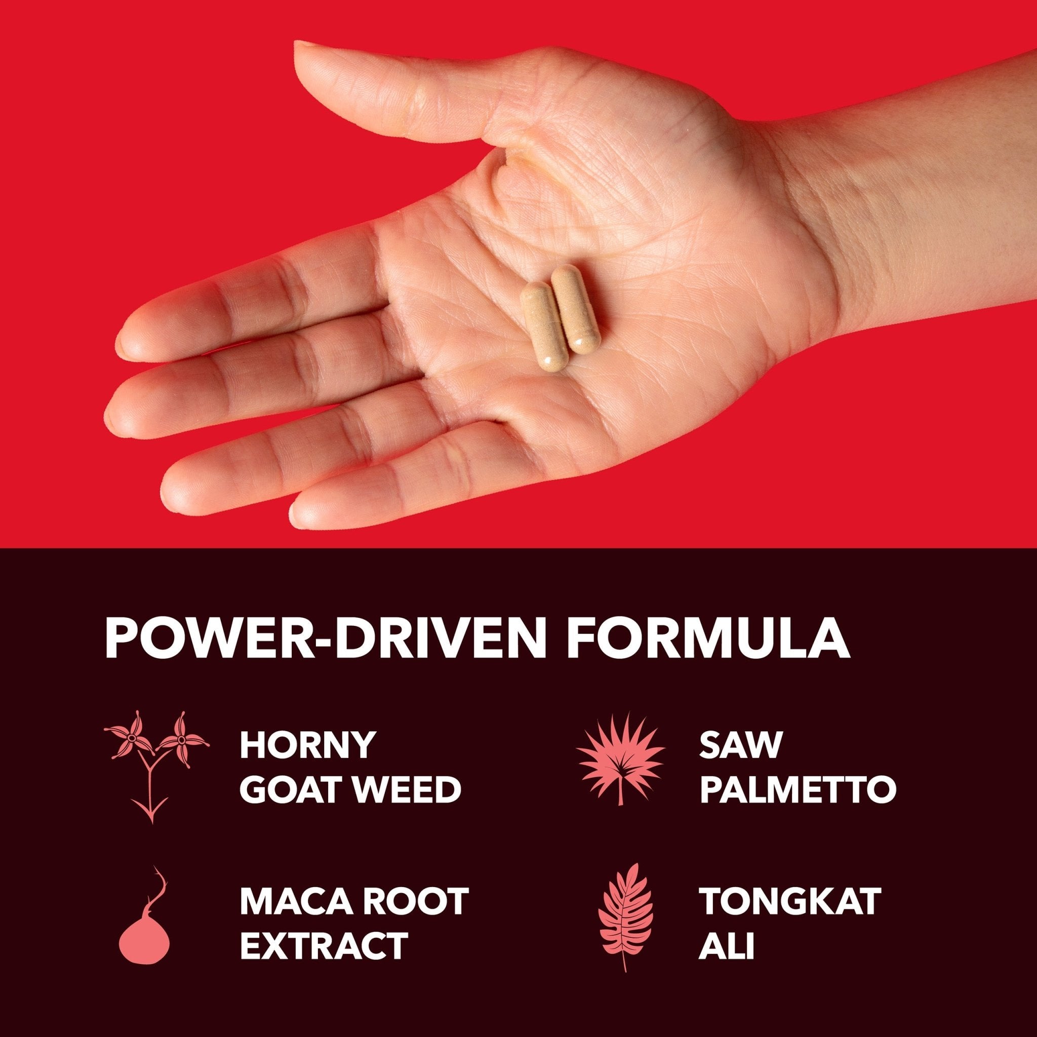 Horny Goat Weed Capsules - Havasu Nutrition