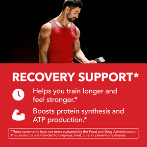 L-Arginine + Pine Bark Capsules - Havasu Nutrition