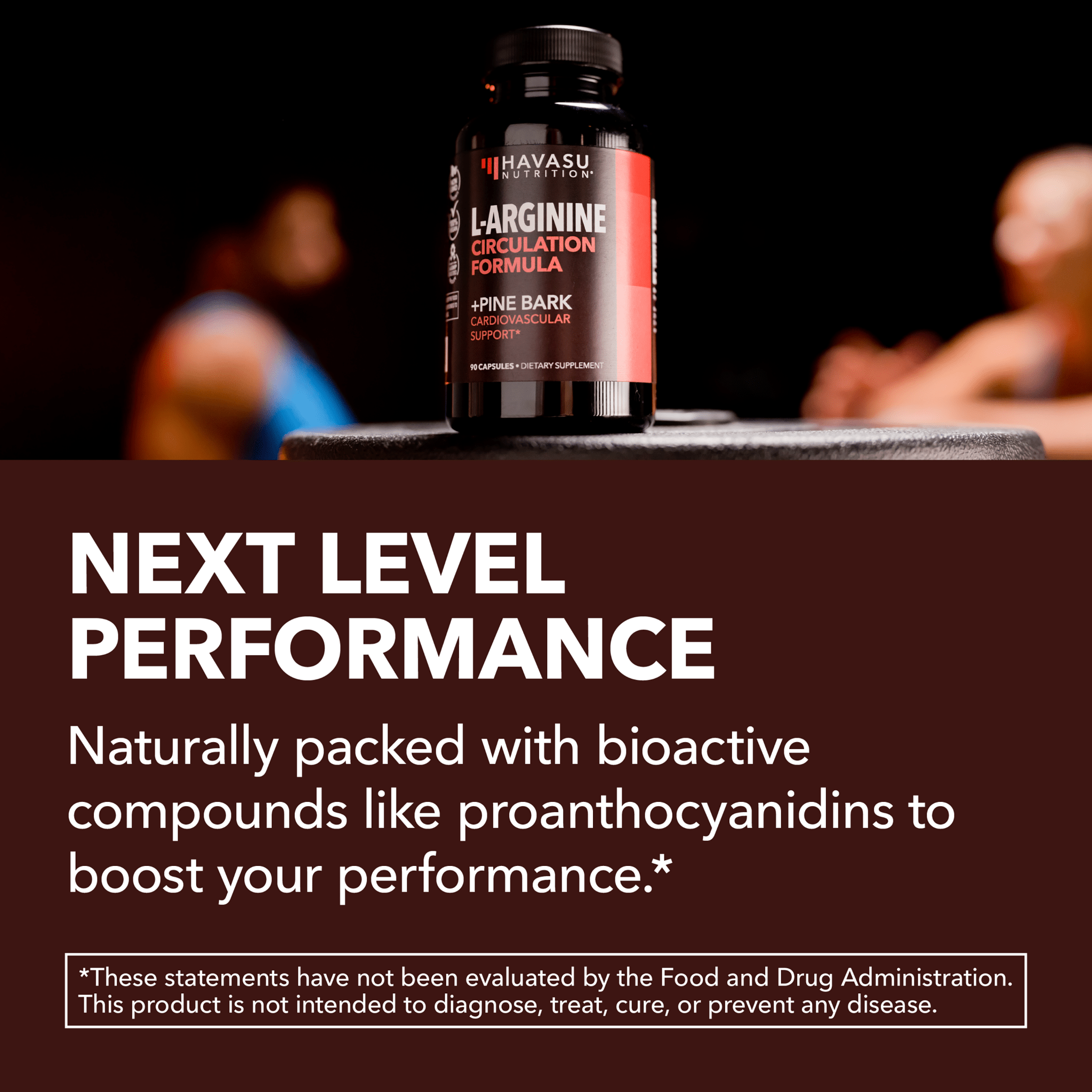 L - Arginine + Pine Bark Capsules, 90ct - Havasu Nutrition