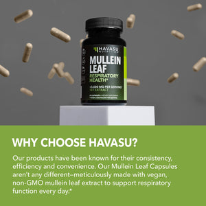 Mullein Leaf Capsules, 30ct - Havasu Nutrition