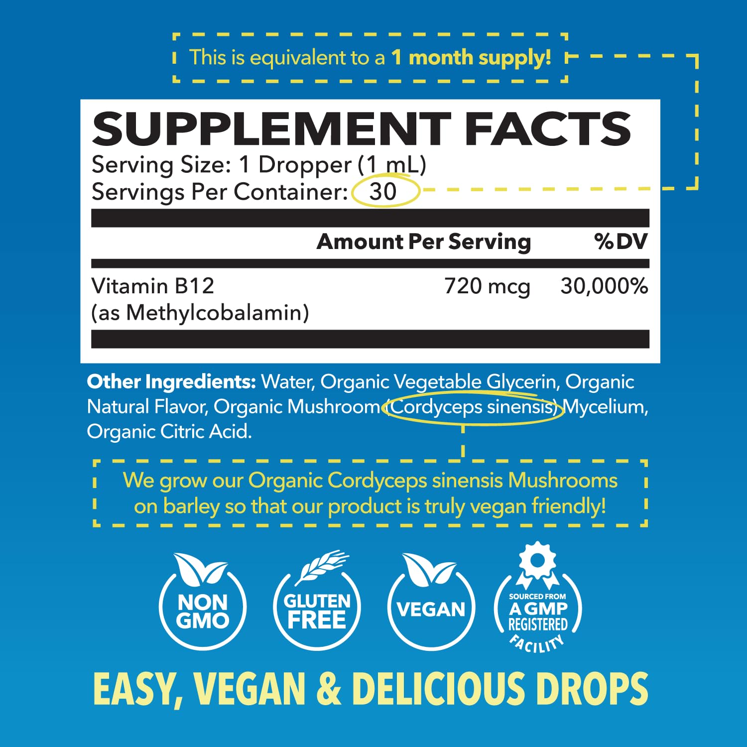 Organic Methyl B12 Liquid, Strawberry - Havasu Nutrition