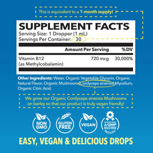 Organic Methyl B12 Liquid, Strawberry - Havasu Nutrition