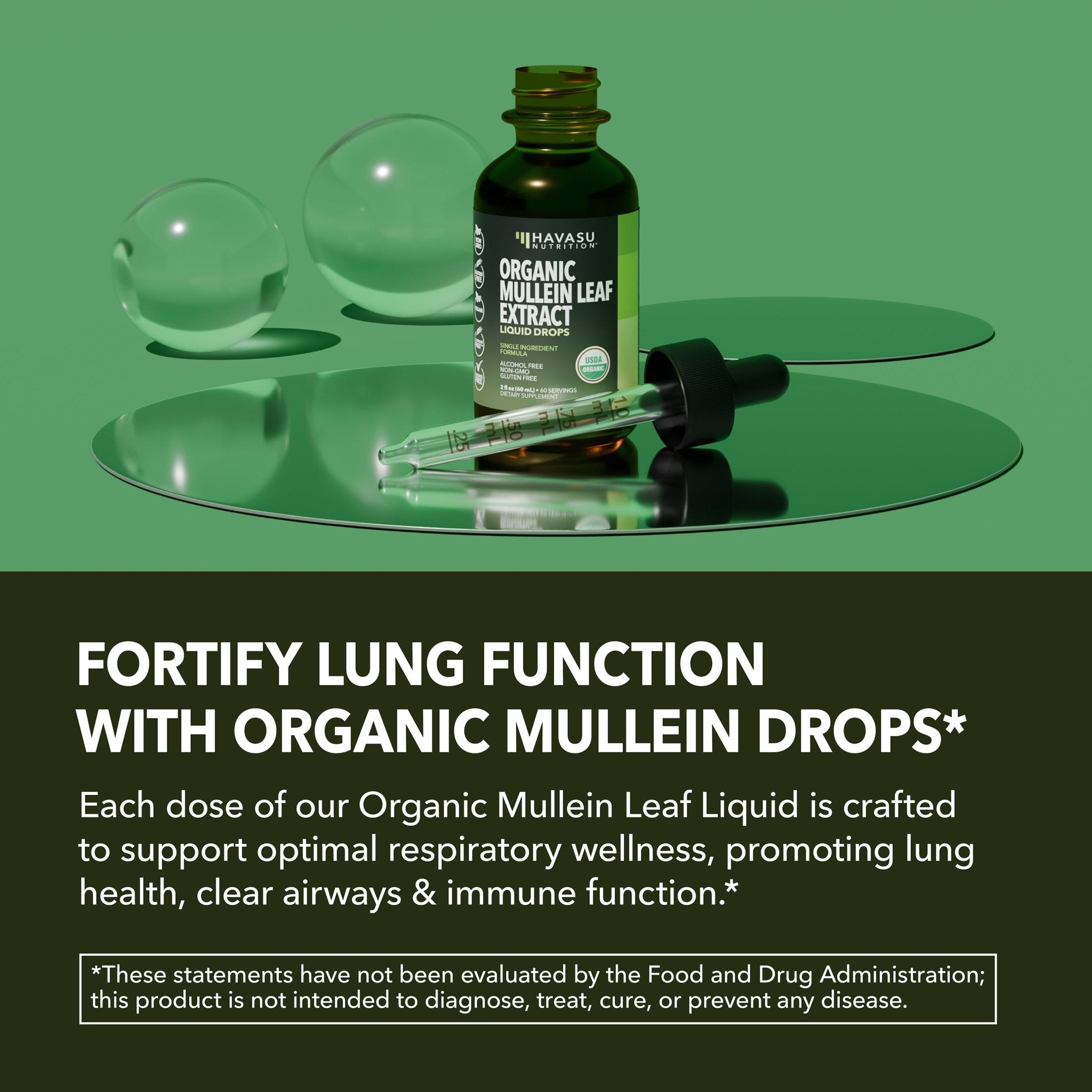 Organic Mullein Leaf Liquid, 2fl oz - Havasu Nutrition