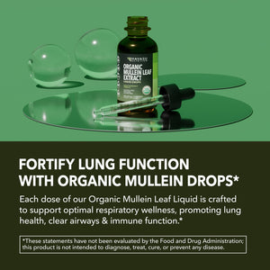 Organic Mullein Leaf Liquid, 2fl oz - Havasu Nutrition