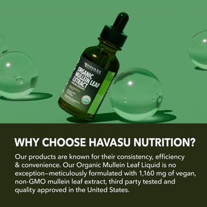 Organic Mullein Leaf Liquid, 2fl oz - Havasu Nutrition