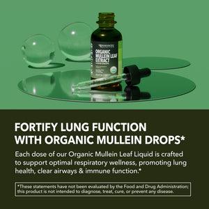 Organic Mullein Leaf Liquid - Havasu Nutrition