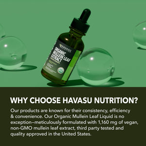 Organic Mullein Leaf Liquid - Havasu Nutrition