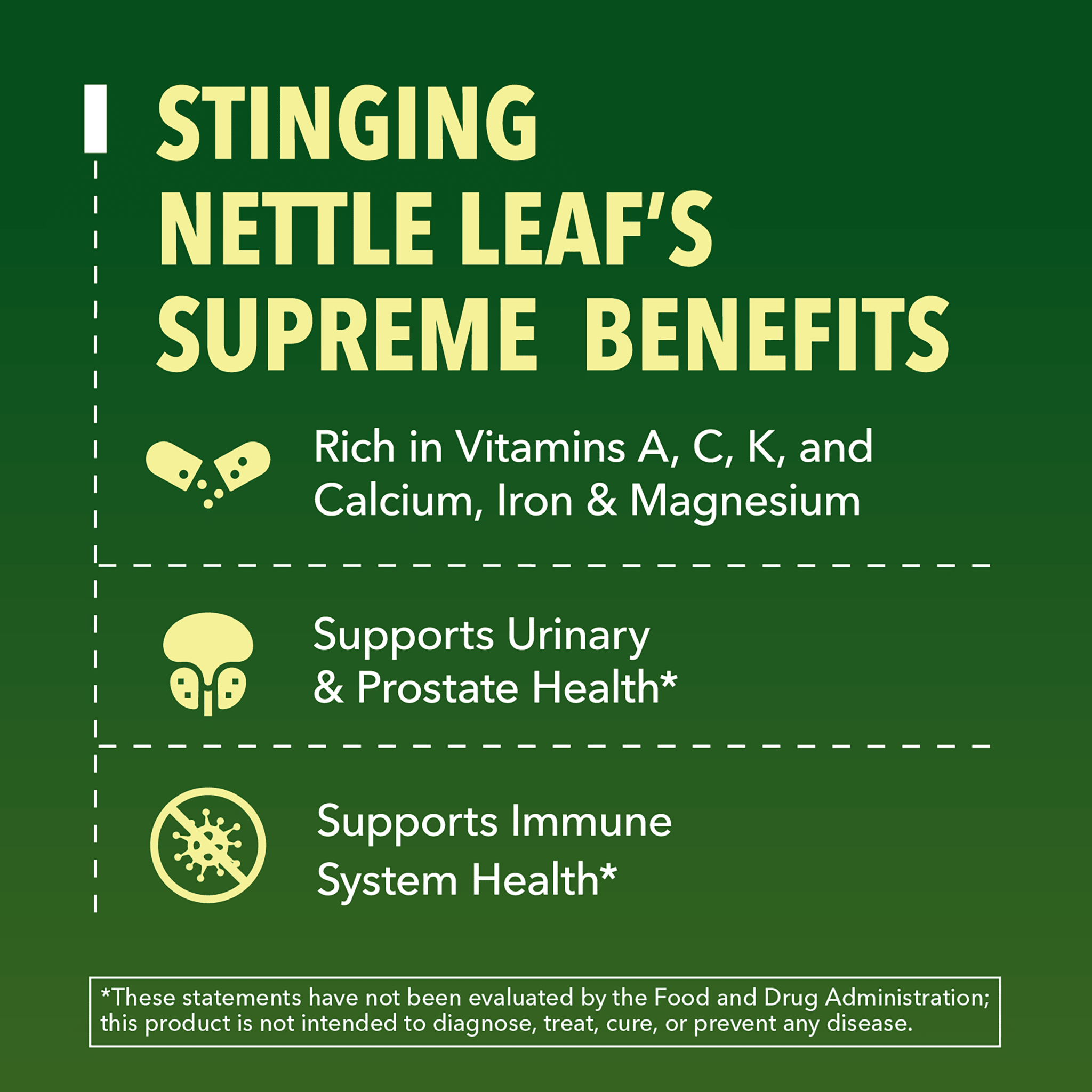 Organic Nettle Liquid, Unflavored - Havasu Nutrition