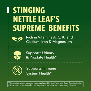 Organic Nettle Liquid, Unflavored - Havasu Nutrition