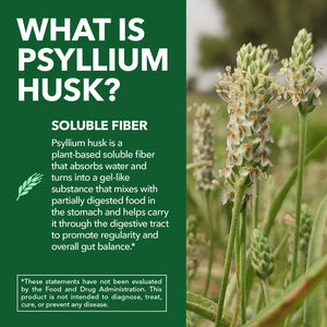 Psyllium Husk Capsules, 270ct - Havasu Nutrition