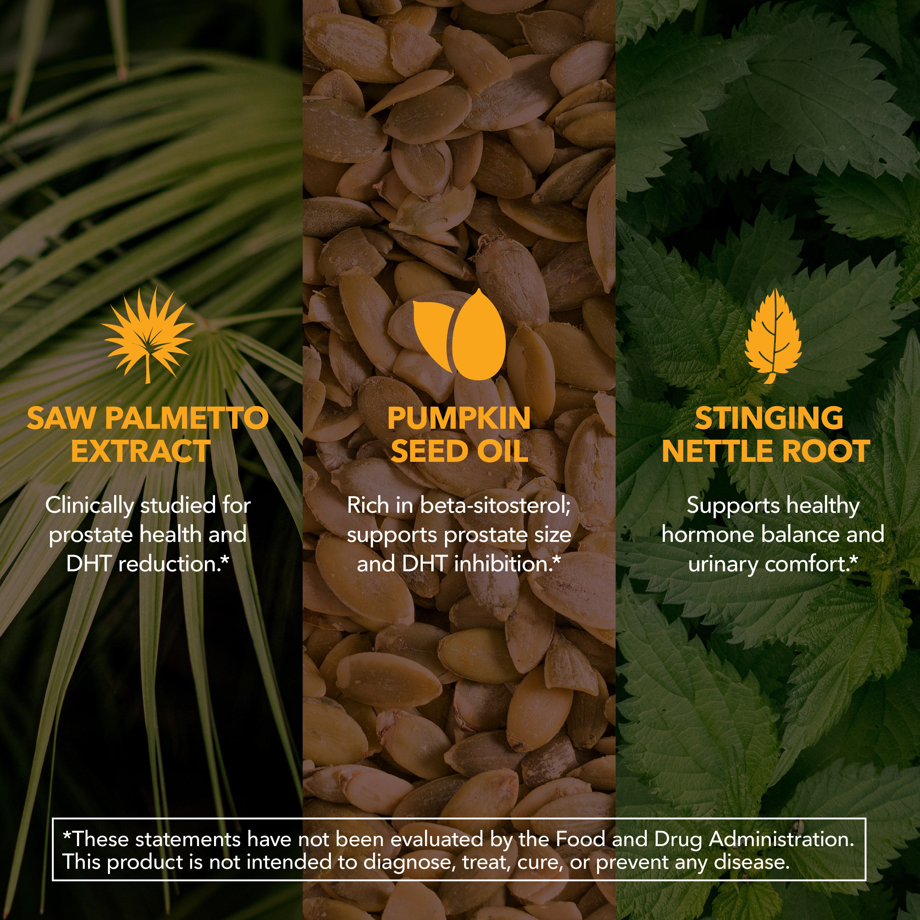 Saw Palmetto + Nettle & Pumpkin Seed Capsules