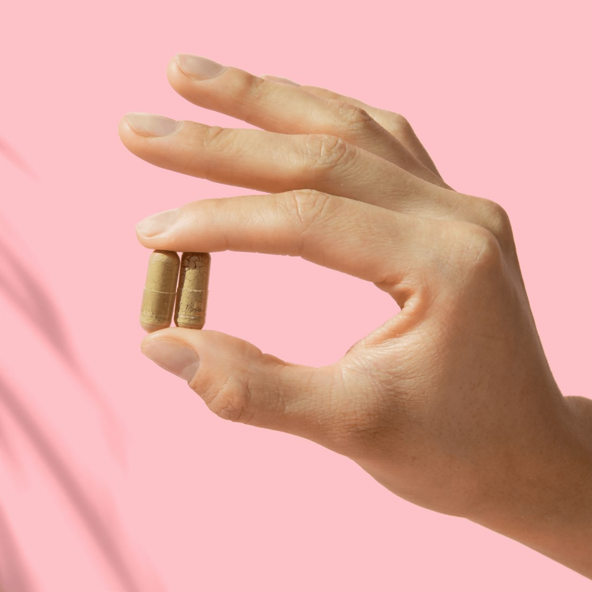 Saw Palmetto + Biotin Capsules, 120ct - Havasu Nutrition