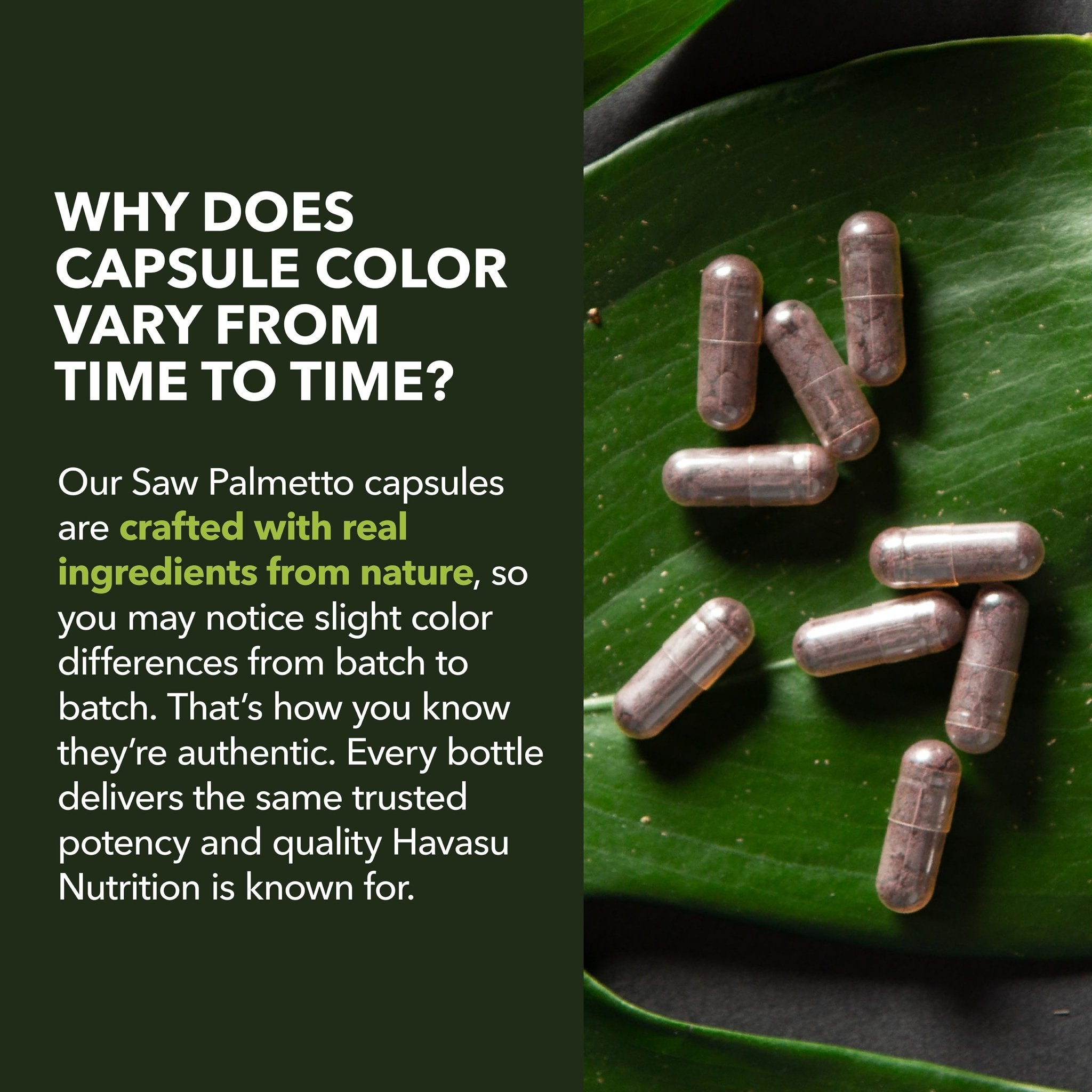 Saw Palmetto Capsules - Havasu Nutrition