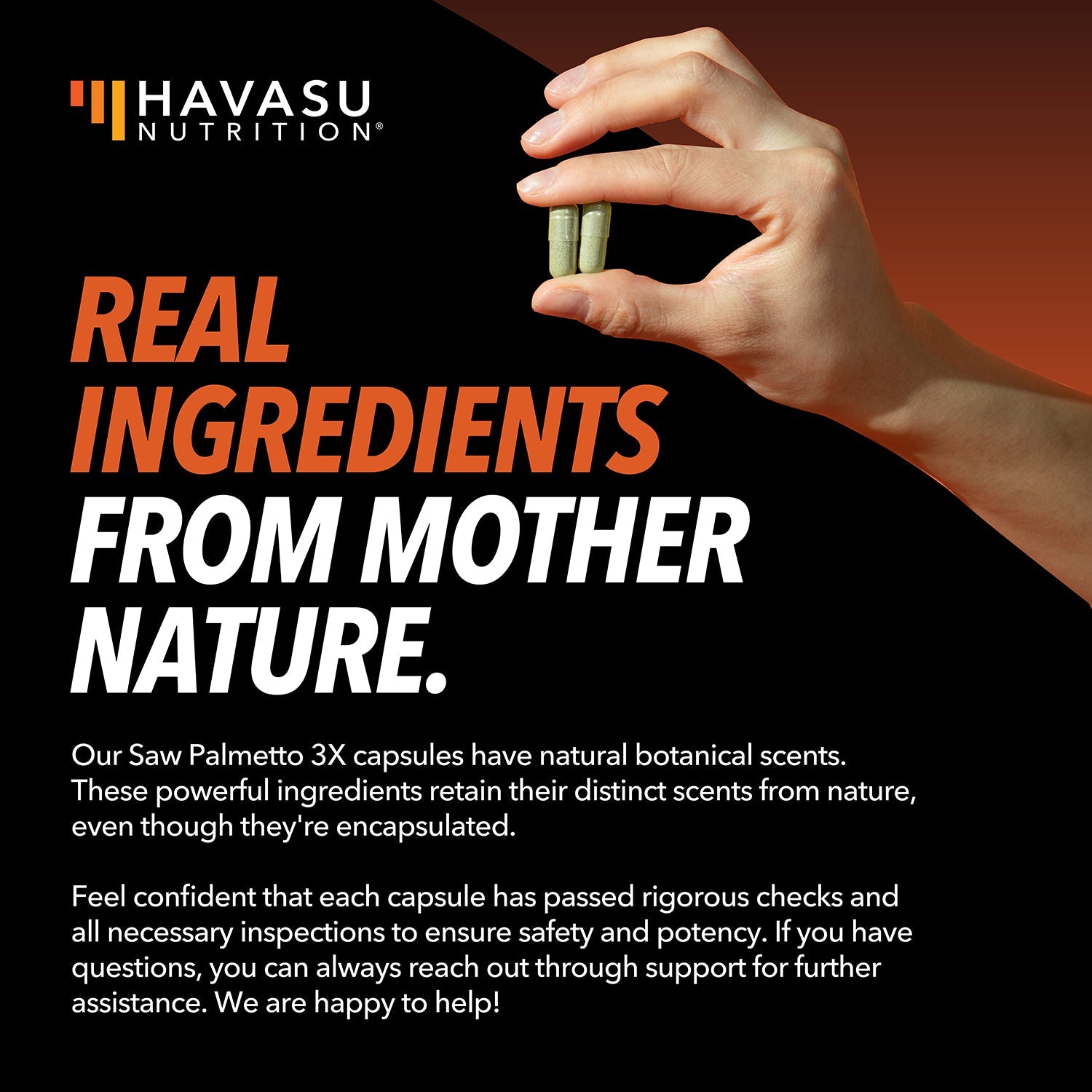 Saw Palmetto + Nettle & Pumpkin Seed Capsules, 120ct - Havasu Nutrition
