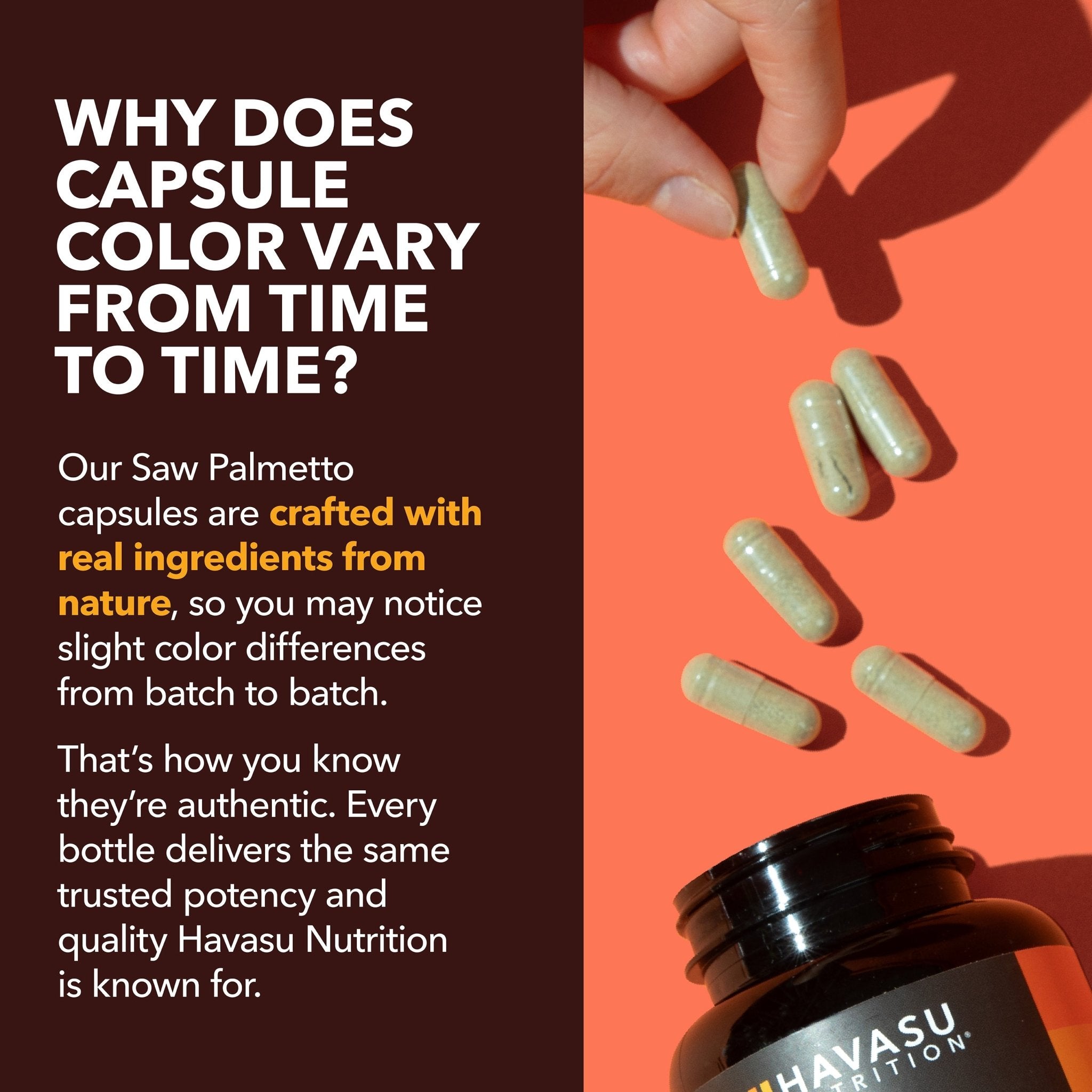 Saw Palmetto + Nettle & Pumpkin Seed Capsules, 120ct - Havasu Nutrition