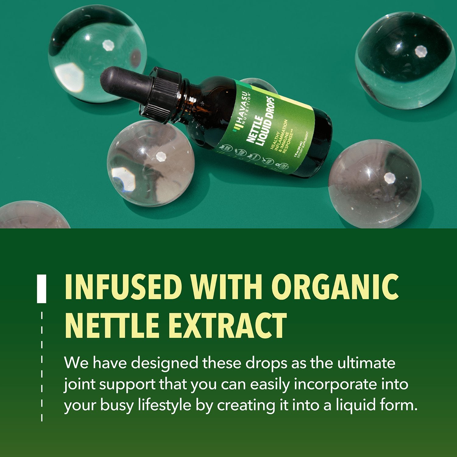 Organic Stinging Nettle Liquid, 1 fl oz - Havasu Nutrition