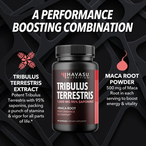 Tribulus Terrestris Capsules - Havasu Nutrition